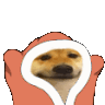 ujjwal_blankies Emote