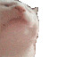 catjamgif Emote