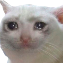 emoji_10 Emote