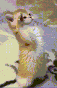 emoji_106 Emote