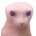 c40 Emote