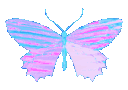 5906bluebutterflyholo Emote