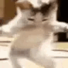 image0 Emote