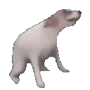 Doggodance Emote