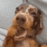 emoji_49 Emote