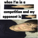 Moggingfex Emote