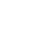 Developer Emote