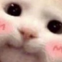 CuteCat Emote