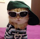 Cr_cool Emote