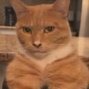 emoji_21 Emote