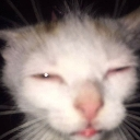emoji_27 Emote