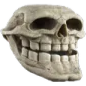 troll_dead Emote
