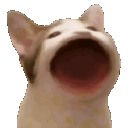 yap Emote