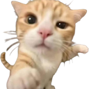 emoji_56 Emote