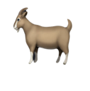 emoji_91 Emote