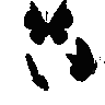 blacklemni11 Emote
