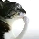 emoji_12 Emote