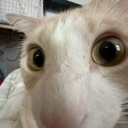 Erm Emote