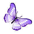 purple_butterflyy Emote