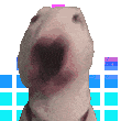 WalterJam Emote
