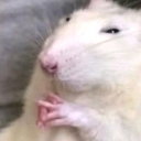excelente Emote
