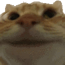 catyes Emote
