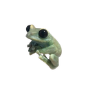 bbacc0631a539a51824956c325b0b90a Emote