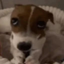 emoji_12 Emote