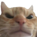c_1madcat Emote