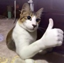 emoji_81 Emote