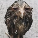 sad Emote
