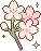 orchid Emote