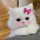 emoji_meizsareef Emote