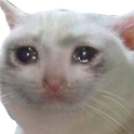 sadcat17 Emote