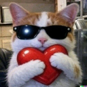 willyhug Emote