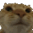 cat_no Emote