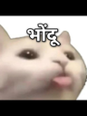 0b8a773a1e1fed86714e8fc75b438370 Emote