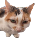 brenda3 Emote