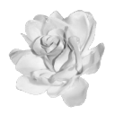 qrose2 Emote