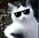 882204749603164210 Emote