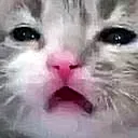 7_ Emote