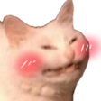 cattoblush Emote