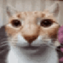 grinderreaction Emote