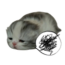 emojigg_cat Emote