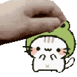 petfroggykitty Emote