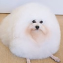 emoji_39 Emote