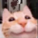 hapi Emote