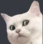 wth Emote