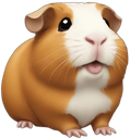 guinea_pig Emote