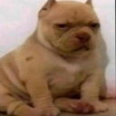 emoji_27 Emote